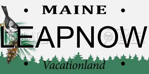 LEAPNOW Maine License Plate