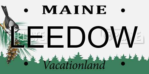 LEEDOW Maine License Plate