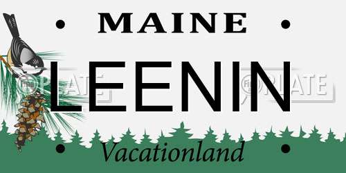 LEENIN Maine License Plate