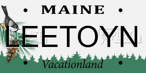 LEETOYN Maine License Plate