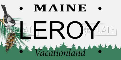 LEROY Maine License Plate