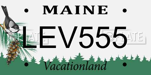 LEV555 Maine License Plate