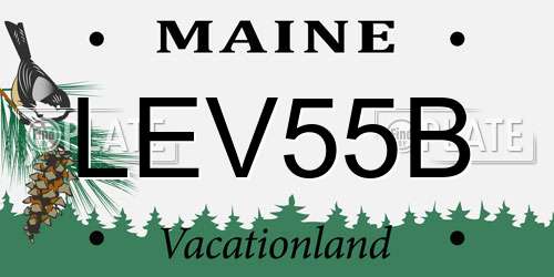 LEV55B Maine License Plate