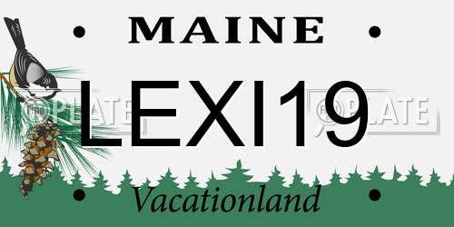 LEXI19 Maine License Plate
