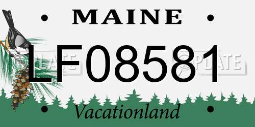 LF08581 Maine License Plate