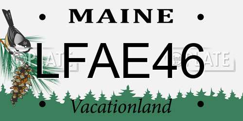 LFAE46 Maine License Plate