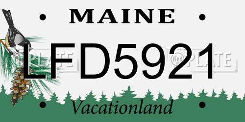 LFD5921 Maine License Plate