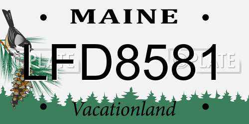 LFD8581 Maine License Plate