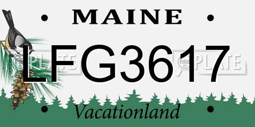 LFG3617 Maine License Plate
