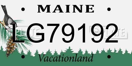 LG79192 Maine License Plate