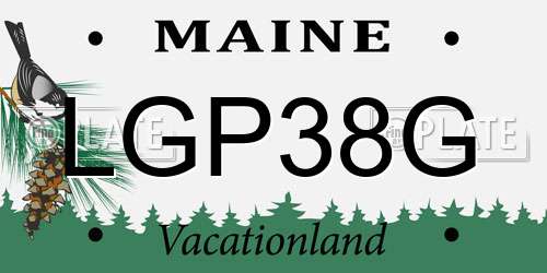 LGP38G Maine License Plate