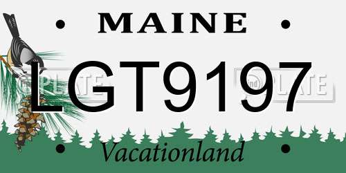 LGT9197 Maine License Plate