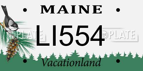 LI554 Maine License Plate