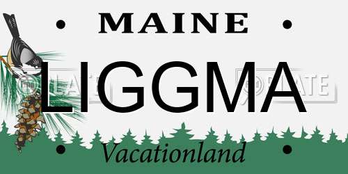 LIGGMA Maine License Plate