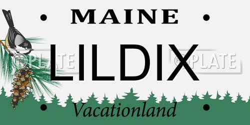 LILDIX Maine License Plate