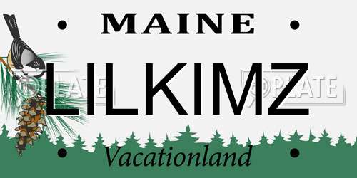 LILKIMZ Maine License Plate
