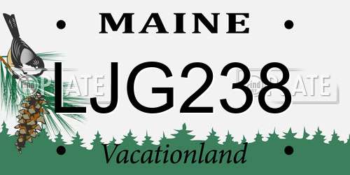 LJG238 Maine License Plate