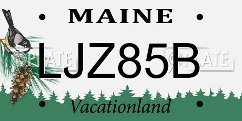 LJZ85B Maine License Plate