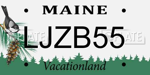 LJZB55 Maine License Plate