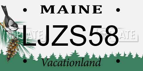 LJZS58 Maine License Plate