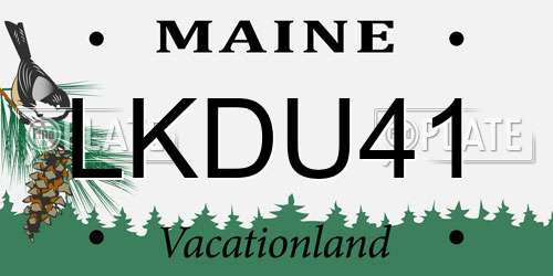 LKDU41 Maine License Plate