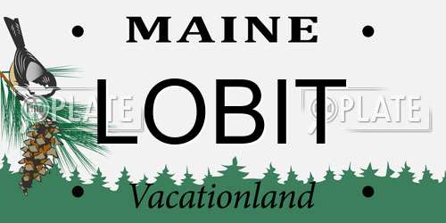 LOBIT Maine License Plate