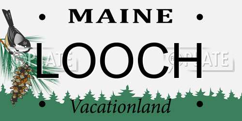 LOOCH Maine License Plate