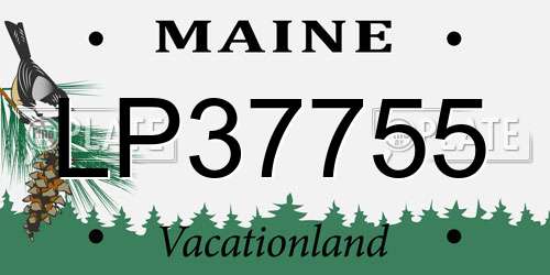 LP37755 Maine License Plate