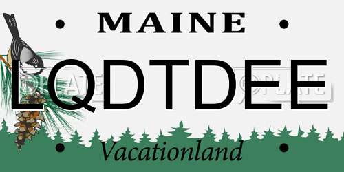 LQDTDEE Maine License Plate