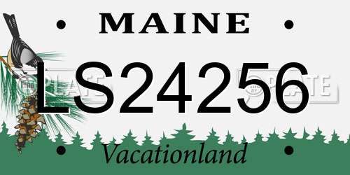 LS24256 Maine License Plate