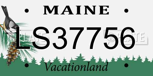 LS37756 Maine License Plate