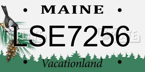 LSE7256 Maine License Plate