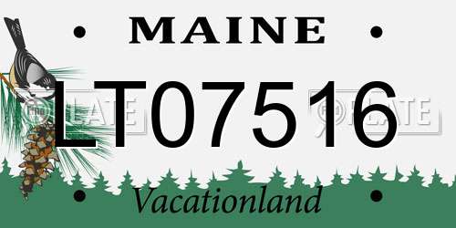LT07516 Maine License Plate