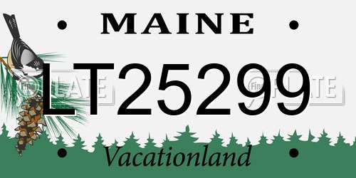 LT25299 Maine License Plate