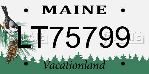 LT75799 Maine License Plate