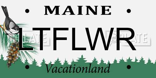 LTFLWR Maine License Plate