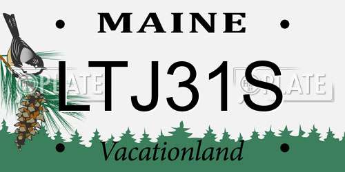 LTJ31S Maine License Plate