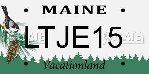 LTJE15 Maine License Plate