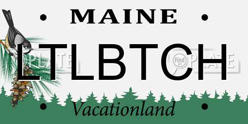 LTLBTCH Maine License Plate