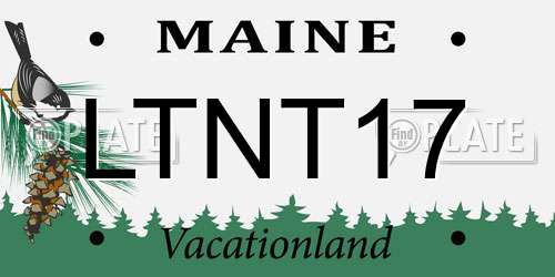 LTNT17 Maine License Plate
