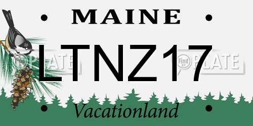 LTNZ17 Maine License Plate