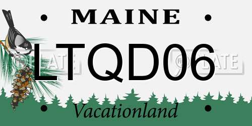 LTQD06 Maine License Plate