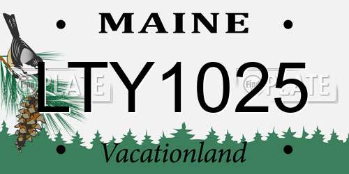 LTY1025 Maine License Plate