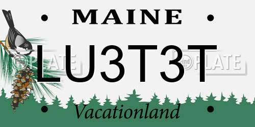 LU3T3T Maine License Plate