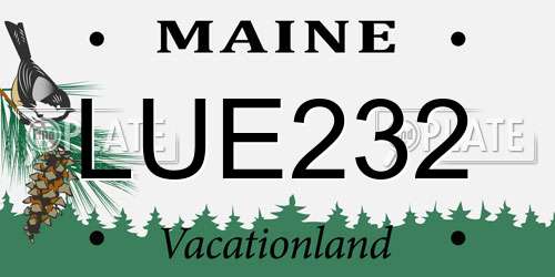 LUE232 Maine License Plate
