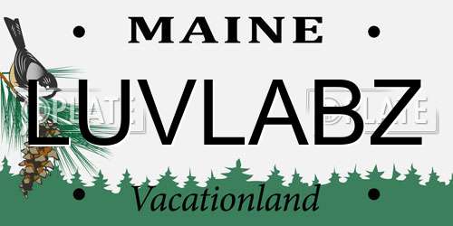 LUVLABZ Maine License Plate