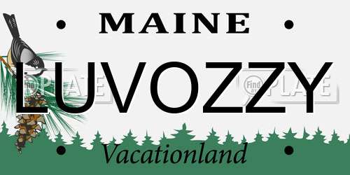 LUVOZZY Maine License Plate