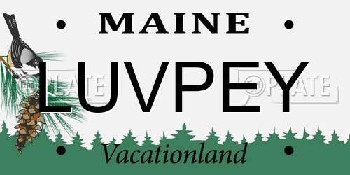 LUVPEY Maine License Plate