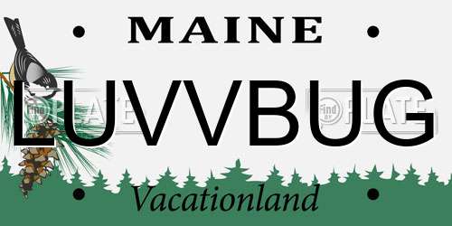 LUVVBUG Maine License Plate