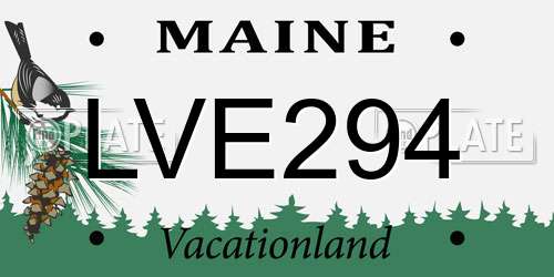 LVE294 Maine License Plate